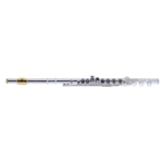 ARMSTRONG 800BEF PROFESSIONAL FLUTE, B FOOT