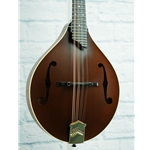 COLLINGS USED 2019 MT MANDOLIN - SHERATON BROWN