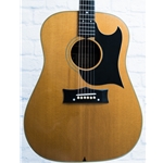 GRAMMER USED G-10 GUITAR