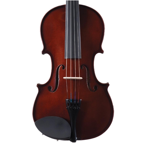 PALATINO ALLEGRO VN500 VIOLIN OUTFIT, 4/4 SIZE