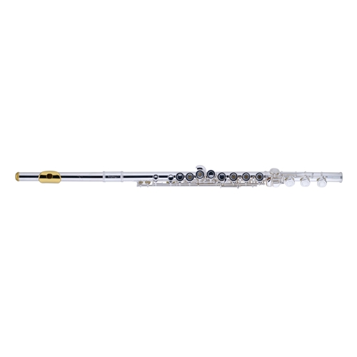 ARMSTRONG 800BEF PROFESSIONAL FLUTE, B FOOT