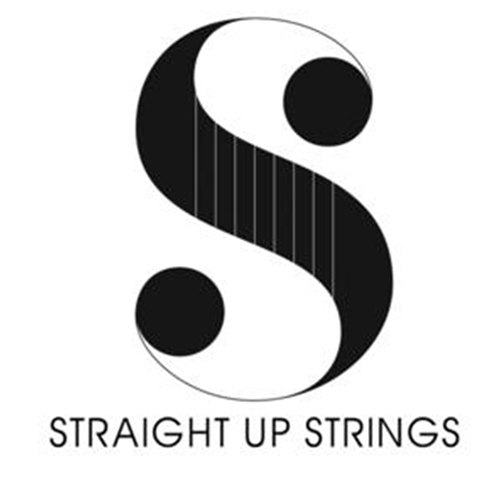 STRAIGHT UP STRINGS FOR GUITAR, HEAVY