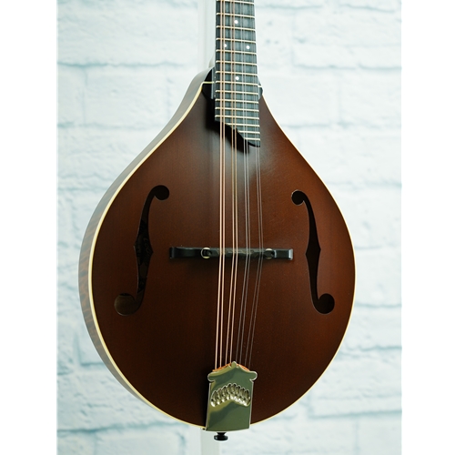 COLLINGS USED 2019 MT MANDOLIN - SHERATON BROWN