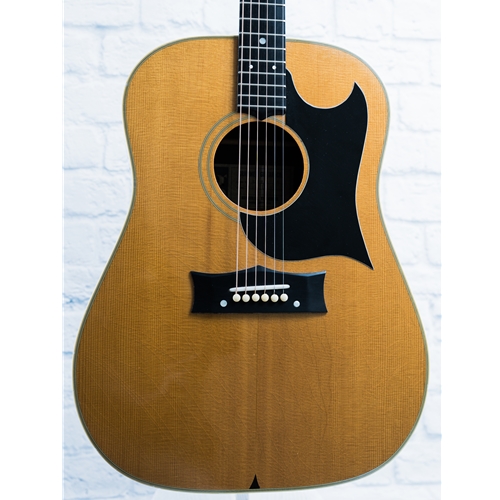 GRAMMER USED G-10 GUITAR