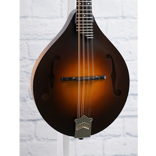 COLLINGS USED MT MANDOLIN
